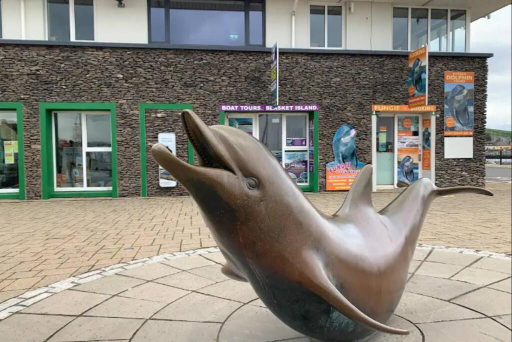 Centre Of Dingle Town - Luxury Holiday Apartment Extérieur photo