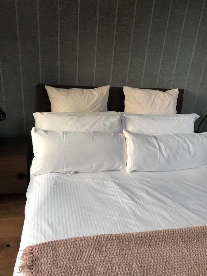 Centre Of Dingle Town - Luxury Holiday Apartment Extérieur photo